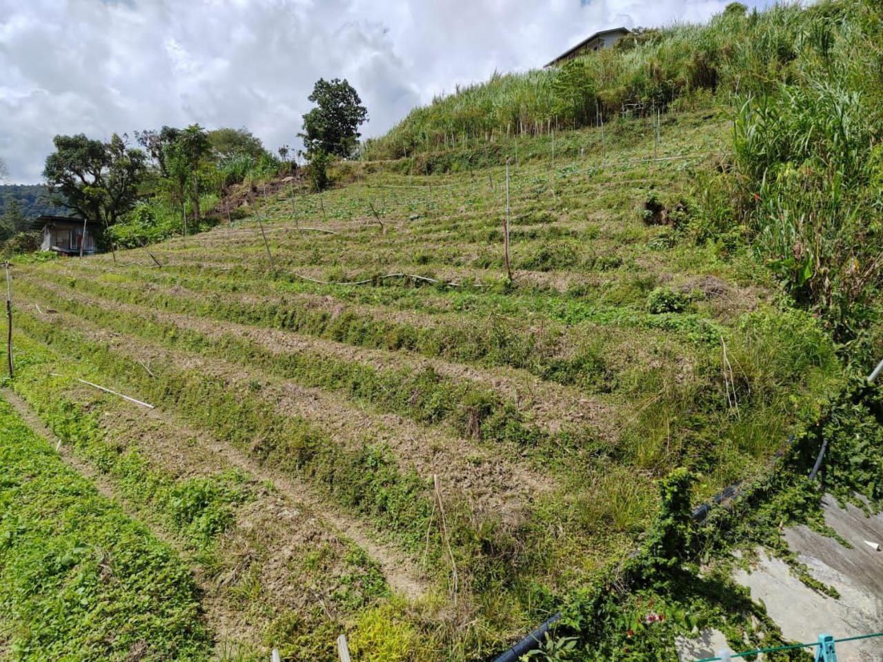 Kundasang Mount Garden Exterior foto